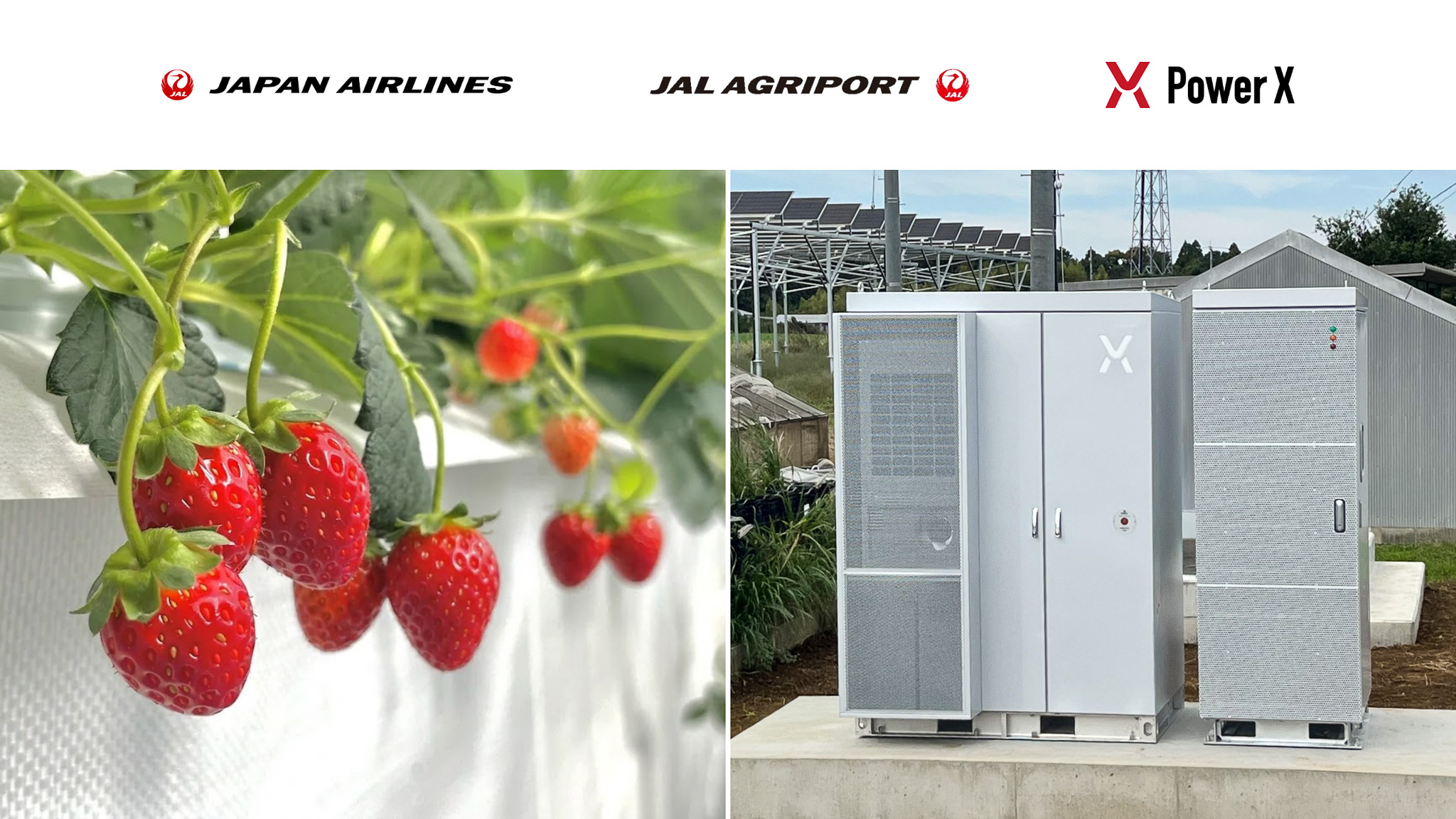 PowerX Cube Supports First Summer Strawberry Harvest and Carbon